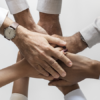 Importancia Equipe 800x450px - Portal CTPI