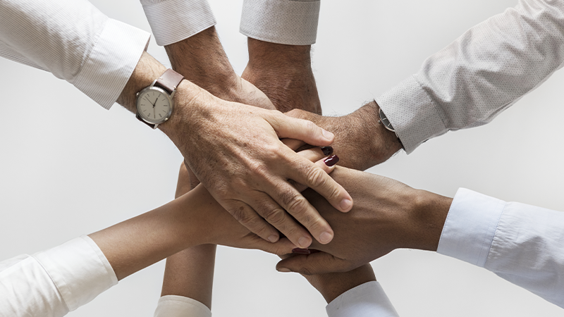 Importancia Equipe 800x450px - Portal CTPI